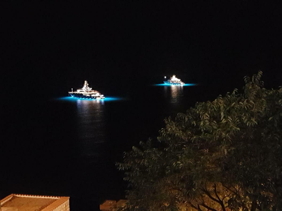 Villa Palmera ドゥブロブニク エクステリア 写真