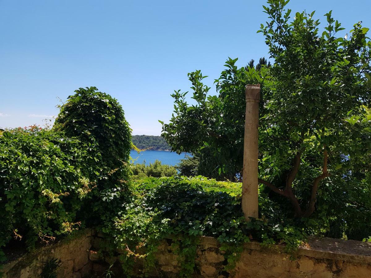 Villa Palmera ドゥブロブニク エクステリア 写真